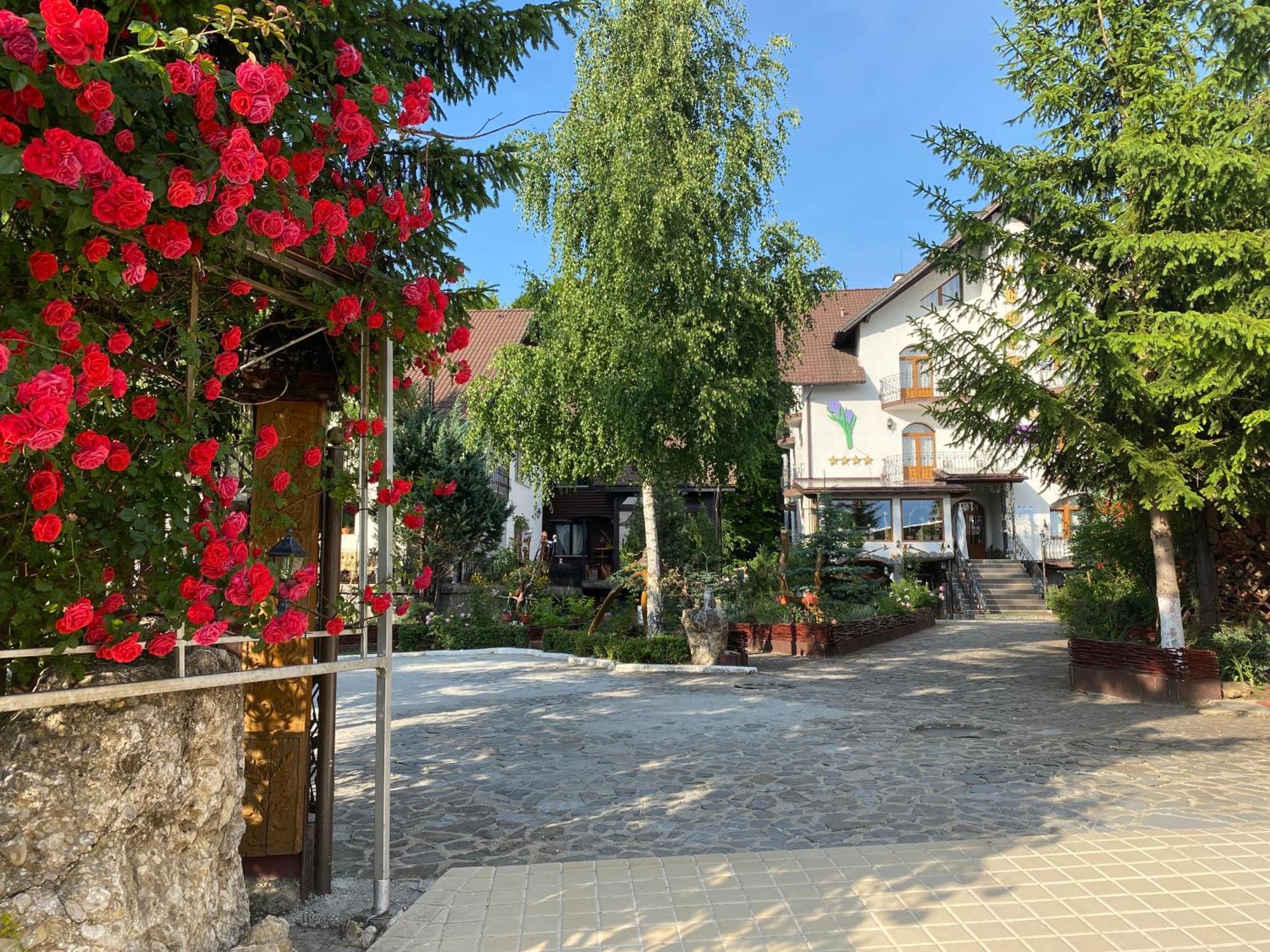Pensiunea Crocus - Sauna & Billiard Poiana Brașov Zewnętrze zdjęcie