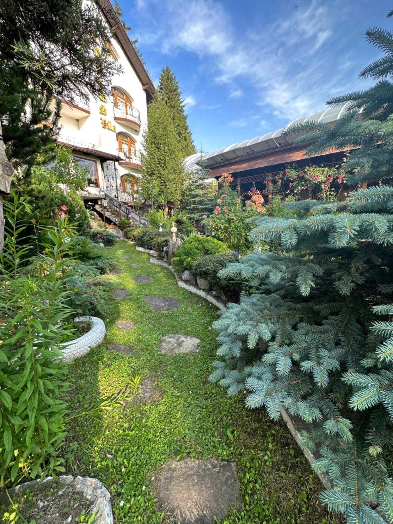 Pensiunea Crocus - Sauna & Billiard Poiana Brașov Zewnętrze zdjęcie