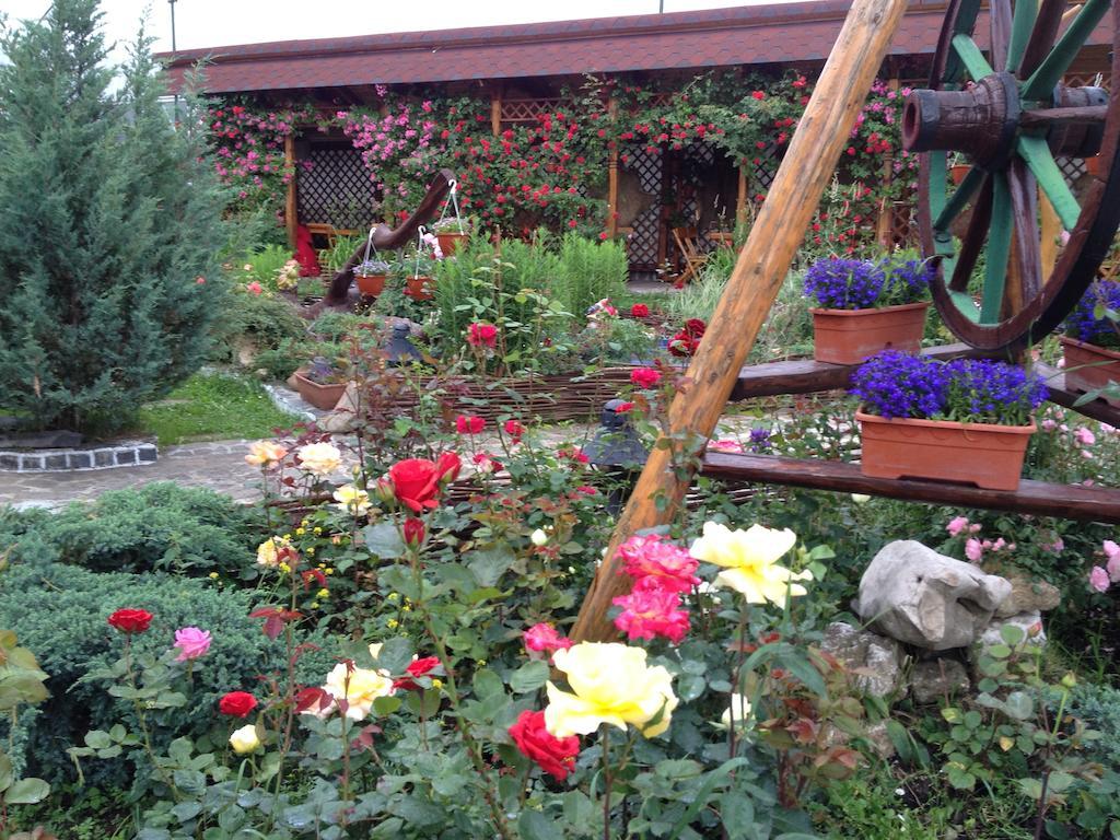 Pensiunea Crocus - Sauna & Billiard Poiana Brașov Zewnętrze zdjęcie